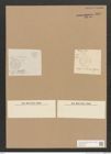 Diatomeae indet. Zeichnungen Sammlung Grunow Nr. 5057 (NHMW-BOT-W0373322)